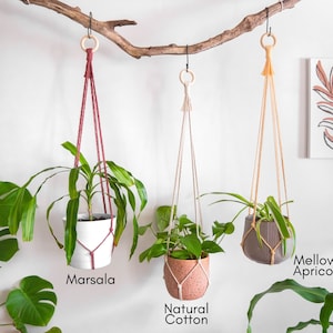 Simple Minimalist No Tassel Macrame Plant Hanger Without Tail, Indoor Hanging Planter No Tail Tassle No Fringe,Long Hanging Plant Pot Holder image 7