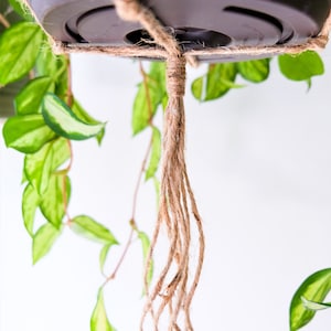 Simple Plant Hanger, Hanging Planter Indoor Plants, Macrame Plant Hanger Set for Houseplants & Hanging Plant, Rustic Minimalist Plant Holder image 5