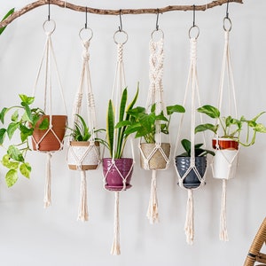 Macrame Plant Hanger, Hanging Planter Indoor, Small Large Hanging Plant Pot Holder, Boho Home Decor Ideas, Houseplant Wall Planter, Wall Art image 5