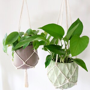 May include: Two hanging planters with green plants. The planters are made of ceramic and have a geometric pattern. The hanging planters are made of macrame and are white.