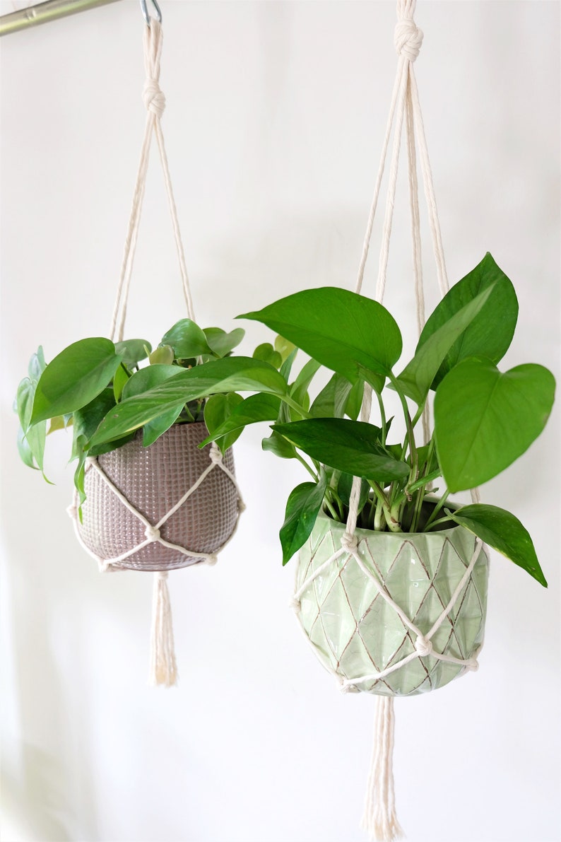 May include: Two hanging planters with green plants. The planters are made of ceramic and have a geometric pattern. The hanging planters are made of macrame and are white.