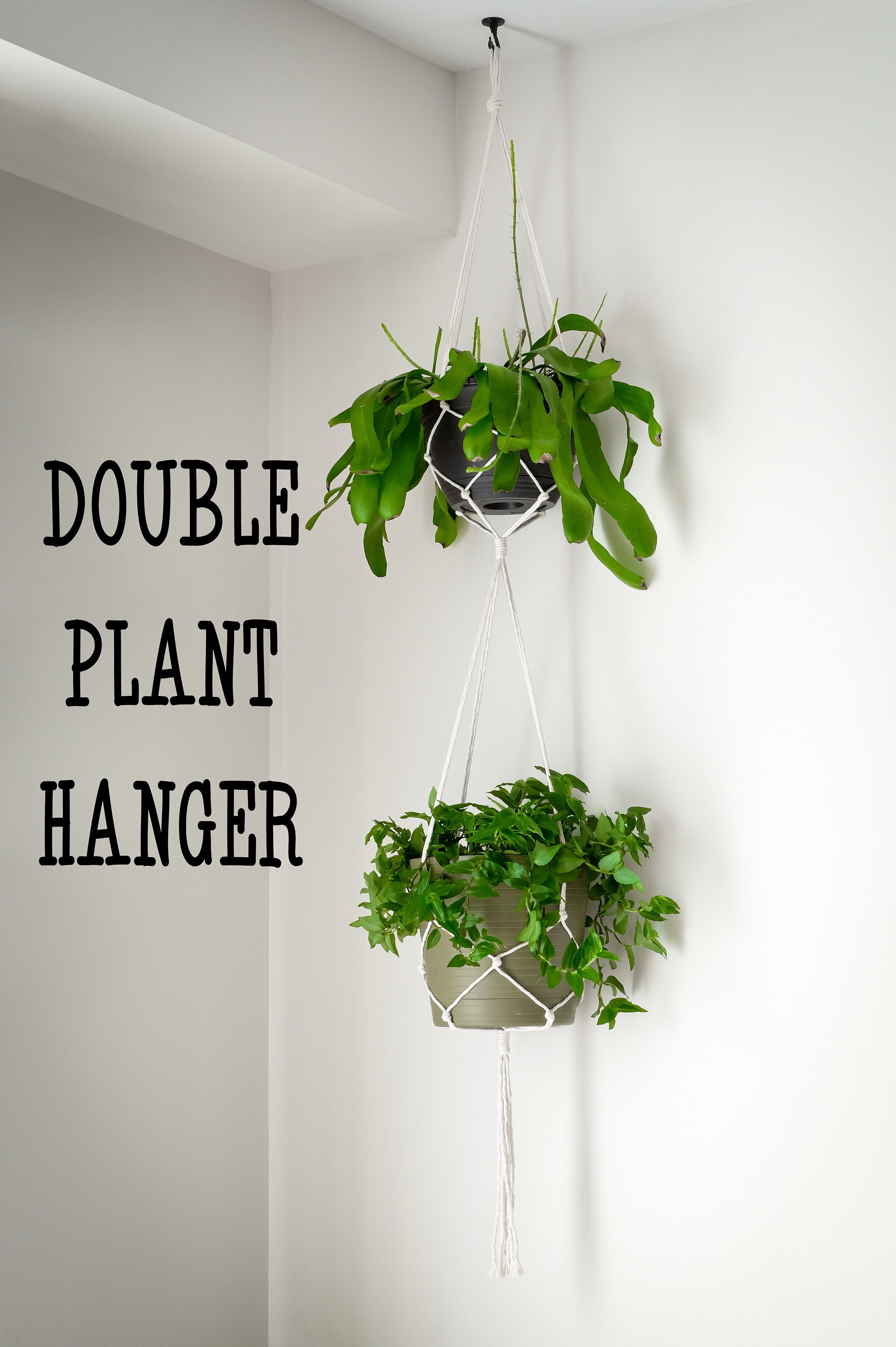 self watering indoor plants Self-Watering Herb Planters | Indoor Herb Garden (3 Pack) main image 1