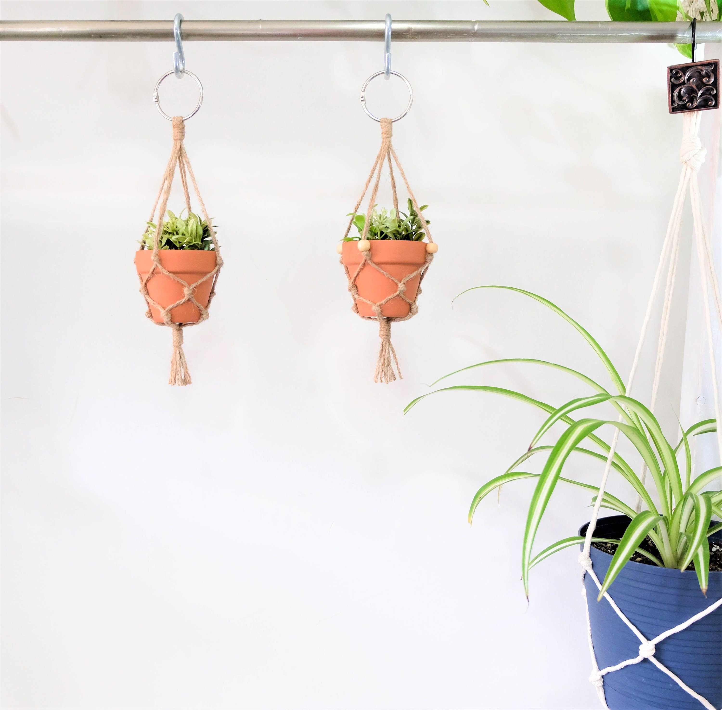 Rear View Mirror Plant Hanger Car Hanging Accessories Small