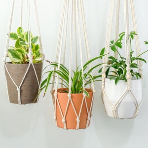 Tassel Free Plant Hanger, No Tassel Plant Hanger, No Tassel Macrame Plant Holder,No Tassel Macrame Plant Hanger,Macrame Minimal Plant Hanger