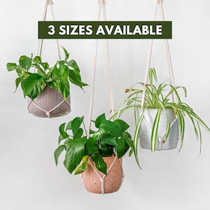 Puede incluir: Tres maceteros colgantes de macramé para plantas con macetas y plantas de diferentes tamaños. El texto "3 SIZES AVAILABLE" está en la parte superior de la imagen.