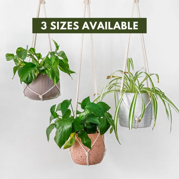Macrame Plant Hanger No Tassel Hanging Planter Indoor Hanging Plant Pot Holder Simple Minimalist Tassle Free Plant Hanger Modern Boho Decor