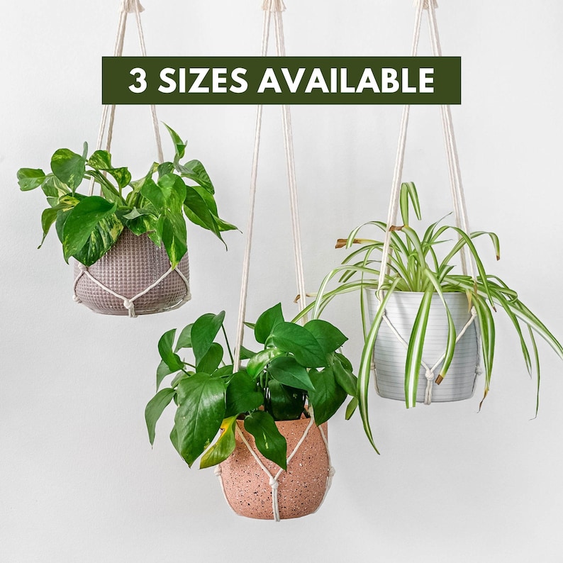 May include: Three hanging plant macrame planters with different sized pots and plants. The text "3 SIZES AVAILABLE" is at the top of the image.