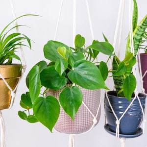 Plant Hanger Macrame, Minimalist Hanging Planter Indoor, Cotton Rope Hanging Plant Pot Holder, Houseplant Room Decor, Plant Lover Gift,