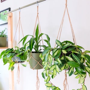 Simple Plant Hanger, Hanging Planter Indoor Plants, Macrame Plant Hanger Set for Houseplants & Hanging Plant, Rustic Minimalist Plant Holder image 2