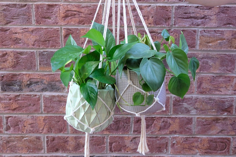 May include: Two hanging plant pots with green plants. The pots are made of a woven material and are hanging from a white rope. The pots are against a brick wall.