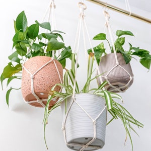 May include: Three hanging plant macrame planters with natural cotton rope. The planters are holding various plants, including a snake plant, a pothos, and a peace lily. The planters are hanging from a gold metal rod.