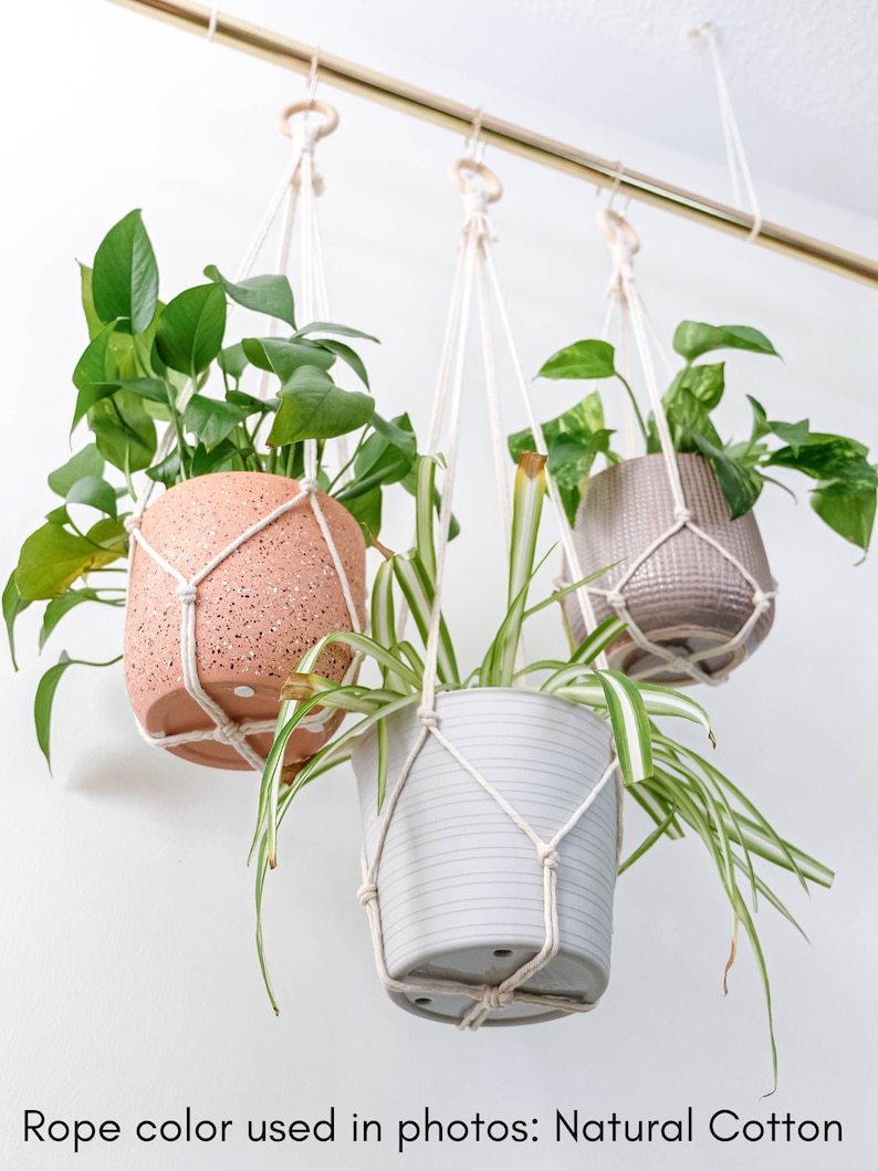 May include: Three hanging plant macrame planters with natural cotton rope. The planters are holding various plants, including a snake plant, a pothos, and a peace lily. The planters are hanging from a gold metal rod.