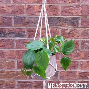 May include: A white macrame plant hanger with a light gray planter and a green plant. The hanger is 35 inches long without the planter. MEASUREMENT: 35" long without a planter