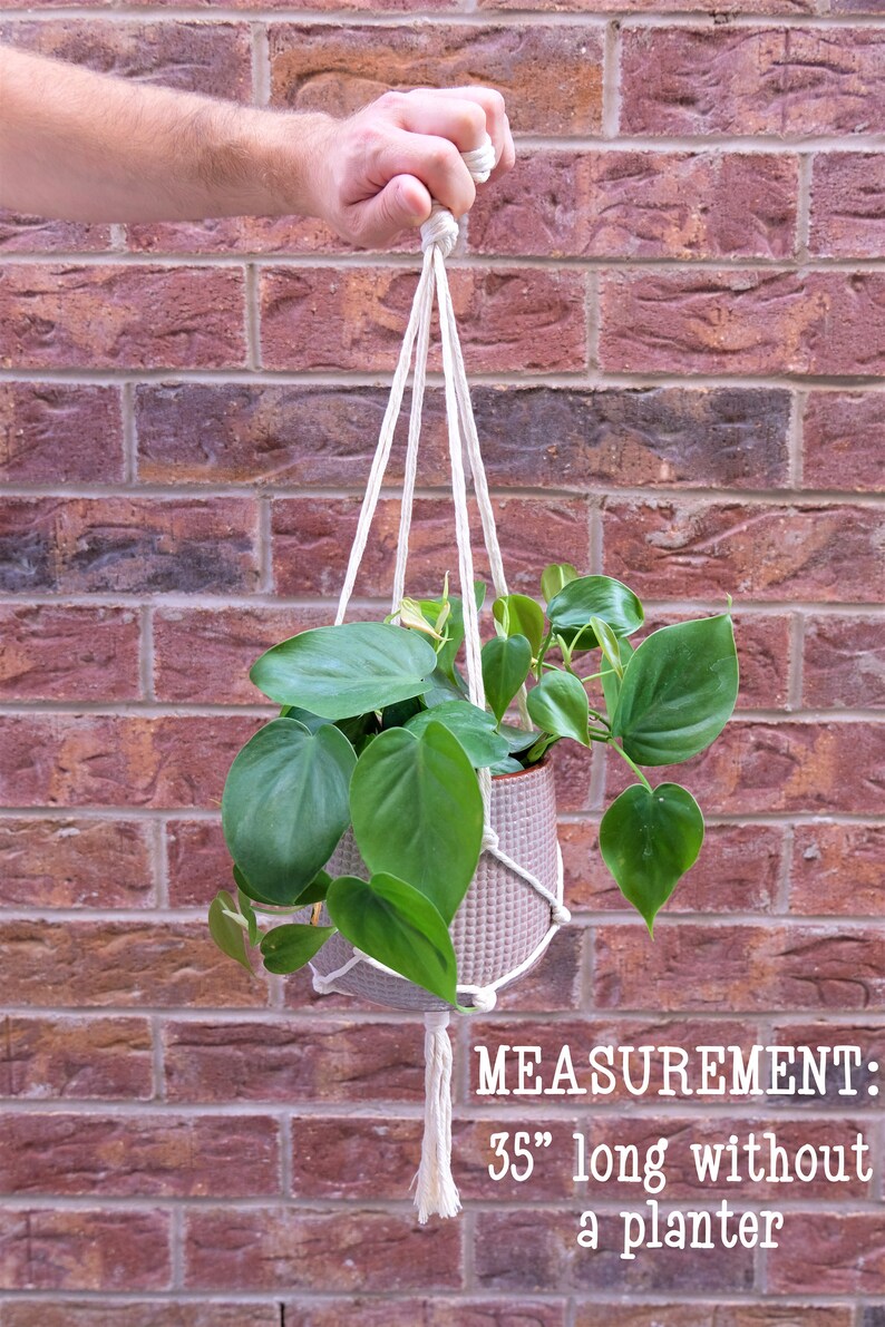 May include: A white macrame plant hanger with a light gray planter and a green plant. The hanger is 35 inches long without the planter. MEASUREMENT: 35" long without a planter