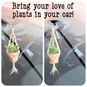 May include: Two small potted plants hanging from the rearview mirror of a car. The plants are in terracotta pots and are suspended by macrame hangers.