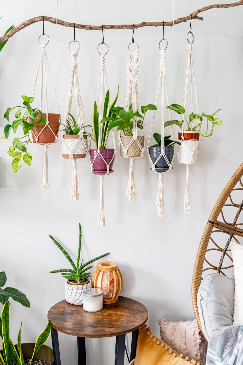 Macrame Plant Hanger, Hanging Planter Indoor, Small Large Hanging Plant Pot Holder, Boho Home Decor Ideas, Houseplant Wall Planter, Wall Art image 4