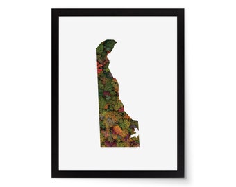 Delaware State Photo Mat – 11x14 White Cardstock Picture Frame Mat