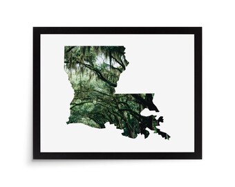 Louisiana State Photo Mat - 11x14 White Cardstock Picture Frame Mat