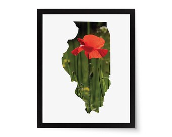 Illinois State Photo Mat  - 8x10 White Cardstock Picture Frame Mat