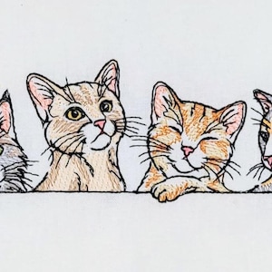 May include: Four cats peeking over a white surface. The cat on the left is gray and white, the next is brown and white, the third is orange and white, and the last is black, white, and orange.