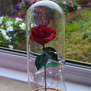 Free Standing Lace  Rose in a Glass Dome