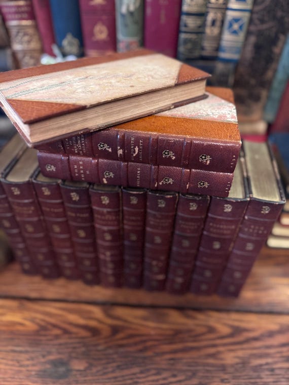 Classic Novels Set 1830s Antique Leather Bound, Illustrated by