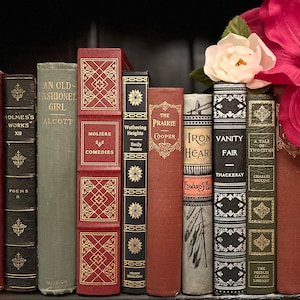 May include: A bookshelf filled with vintage hardcover books with gold lettering on the spines. The books are arranged in a row and include titles like "The Prairie", "Wuthering Heights", "Vanity Fair", and "Iron Heart".