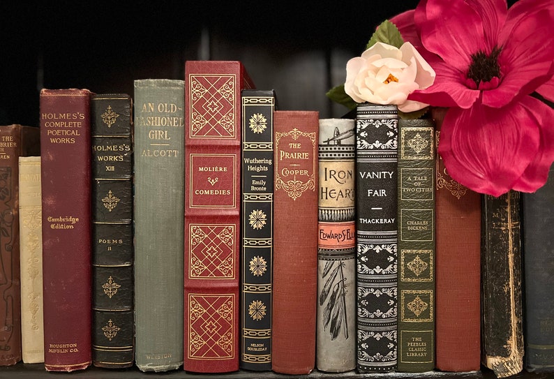 May include: A bookshelf filled with vintage hardcover books with gold lettering on the spines. The books are arranged in a row and include titles like "The Prairie", "Wuthering Heights", "Vanity Fair", and "Iron Heart".