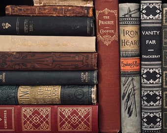 【SEE】Vintage Books 【50cm Set】洋書 Vintage Books Shaped Magnetic Bookmarks | Galison