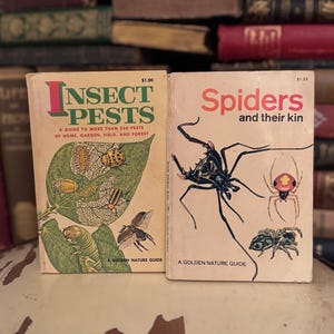 Set 2 Vintage Bücher Goldene Bücher Insektenschädlinge Spinnen und ihre Kin 1966 Naturbücher Regal Dekor Instant Bibliothek Vintage Bücher Sammlerstück