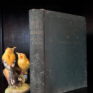 Vintage Book Americas Land Birds Amazing Reference Book Beautiful Pictures Great Gift book or Collectible