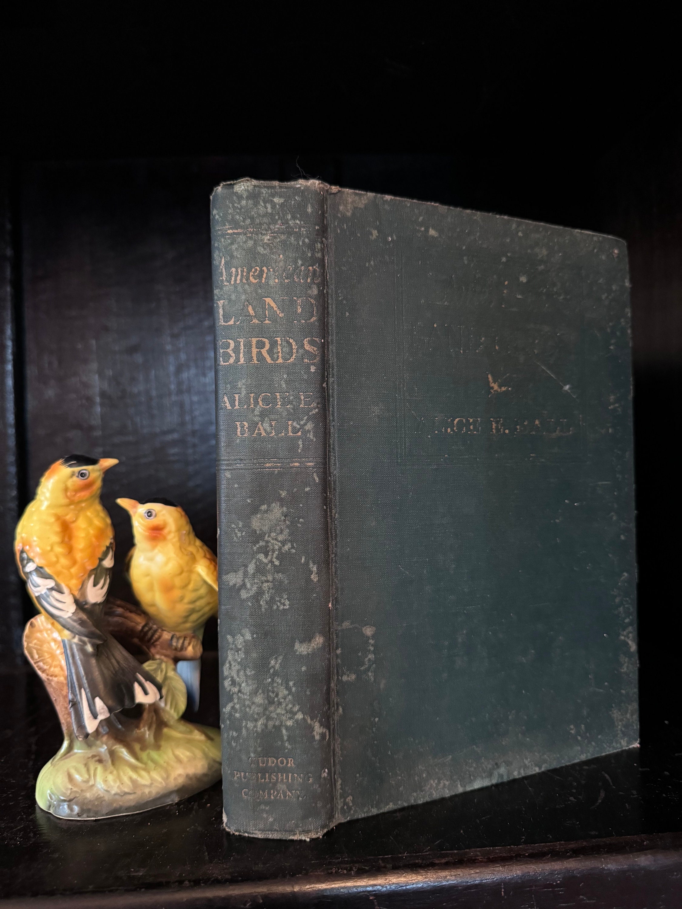 Vintage Book Americas Land Birds Amazing Reference Book Beautiful Pictures Great Gift book or Collectible