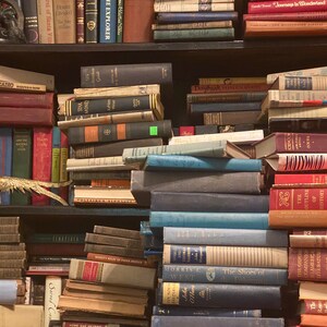 May include: A bookshelf filled with a variety of books, many with colorful spines. The books are stacked in a haphazard manner, creating a sense of chaos and disarray. Some of the titles visible include "The Secret of Santa Vittoria", "House Divided", "The Explorer", "Daybreak", "The Shoes of the Fisherman", and "The Outline of History".