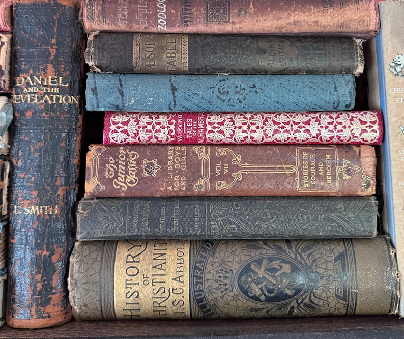 May include: A stack of antique books with various colors and textures. Titles include "Daniel and the Revelation," "Aesop's Fables," and "History of Christianity." The books are arranged horizontally, showcasing their aged covers and spines.