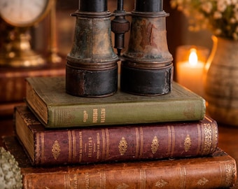 Conjunto de 3 libros antiguos de tapa dura vintage, decoración de casa de campo, decoración de boda personalizable, pilas de libros vintage, literatura clásica, regalo único, auténtico