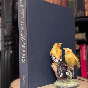 Vintage Book The World Atlas Of Birds Crescent Books New York Collectible Gift