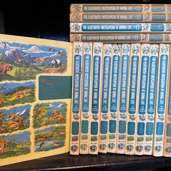 Vintage Set of 16 Illustrated Encyclopedia of Animal Life Library Set Decorative Staging Children’s Books yellow decor