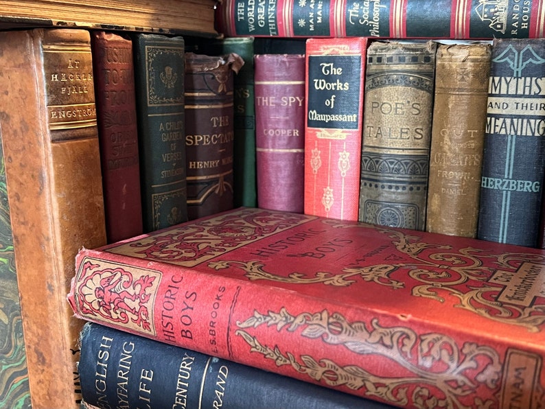 May include: A bookshelf filled with vintage books, including titles like "The Works of Maupassant", "Poe's Tales", and "Myths and Their Meaning". The books are arranged in a row, with the spines facing outward. The bookshelf is made of wood and has a dark brown finish.