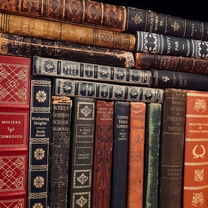 May include: A collection of antique books with various colors and designs. The spines display titles like "Vanity Fair" and "Wuthering Heights." The books are stacked on a shelf, showcasing their aged covers and decorative details, creating a vintage aesthetic.