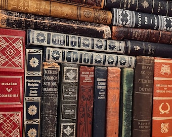 バラ売り可　5冊セット　イラストが素敵なアンティーク本 ヴィンテージブック5冊セット。カラーカスタマイズ可能。本物の