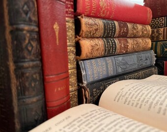 バラ売り可　5冊セット　イラストが素敵なアンティーク本 バラ売り可 5冊セット イラストが素敵なアンティーク本