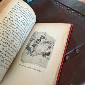 May include: An open vintage book with a red spine, displaying an illustration of two anthropomorphic animals. The text reads "Brer Deer wend on jer ter tell Brer Rabbit". Other books are visible in the background.