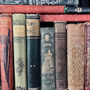 May include: A collection of antique books with various titles and colors. The spines display titles like "Patience to Work," "Famous Stories," and "Little Men." The books are arranged vertically, showcasing their aged covers and decorative details.