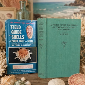 May include: Two hardcover books titled A Field Guide to Shells of the Pacific Coast and Hawaii by Percy A. Morris. One book has a blue dust jacket with shell illustrations, while the other is a solid teal cloth-bound book with black text.