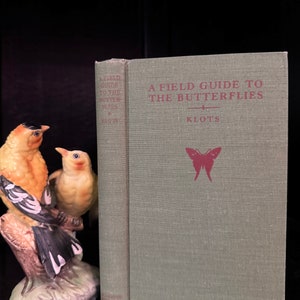 Vintage Book Field Guide The Butterflies 1951 Illustrated Nature Collection Guide Unique Rare Book Collectible excellent condition