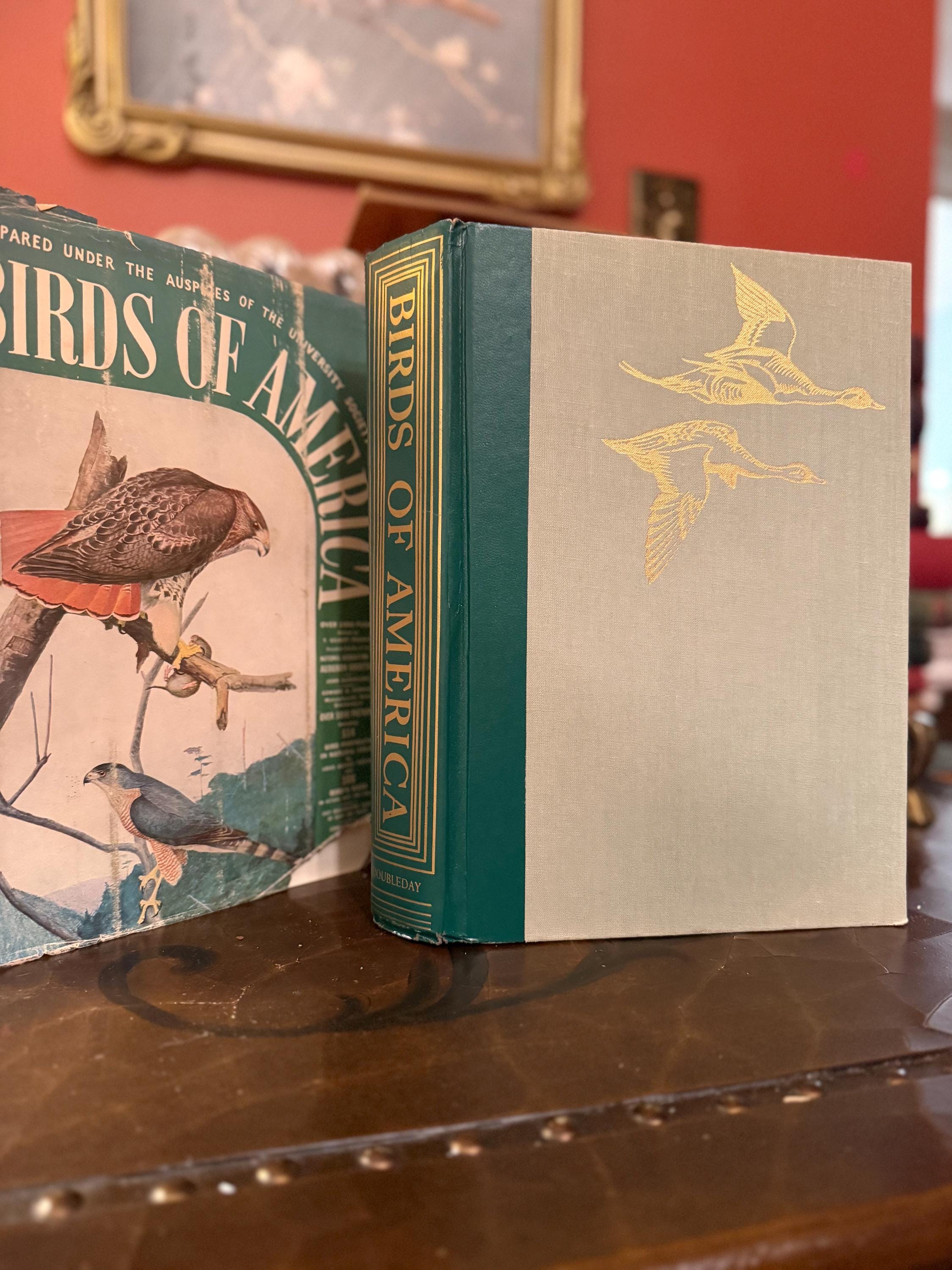 Vintage Birds of America Book | Audubon Society Ornithology