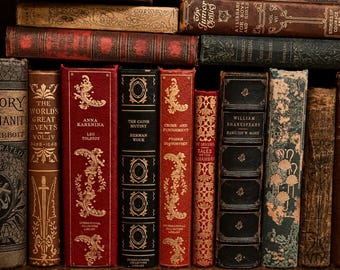 Conjunto de libros antiguos por color, decoración personalizada con libros antiguos, centro de mesa para bodas, estilo rústico campestre neutro para estanterías.