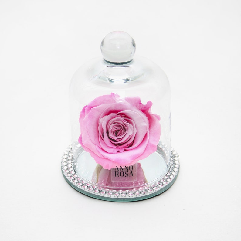 Single Infinity Pink Rose In Bell Diamante Vase Roses That Etsy