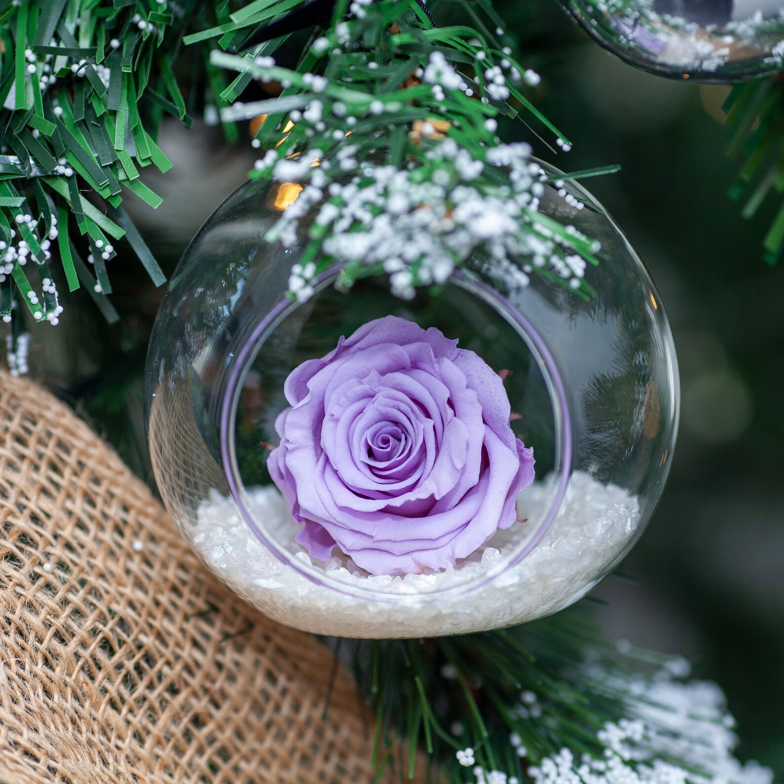 Lilac Eternity Rose Bauble Hanging roses that last a year Etsy