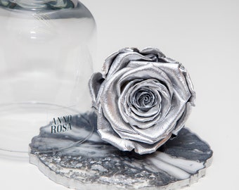 T000219 Silver Printed Roses 